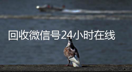 回收微信号24小时在回收微信号线秒结（回收微信号24小时交易平台）
